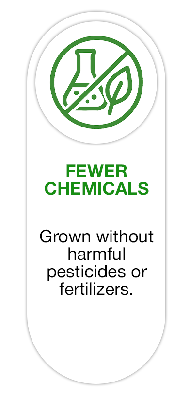 Pic 2
