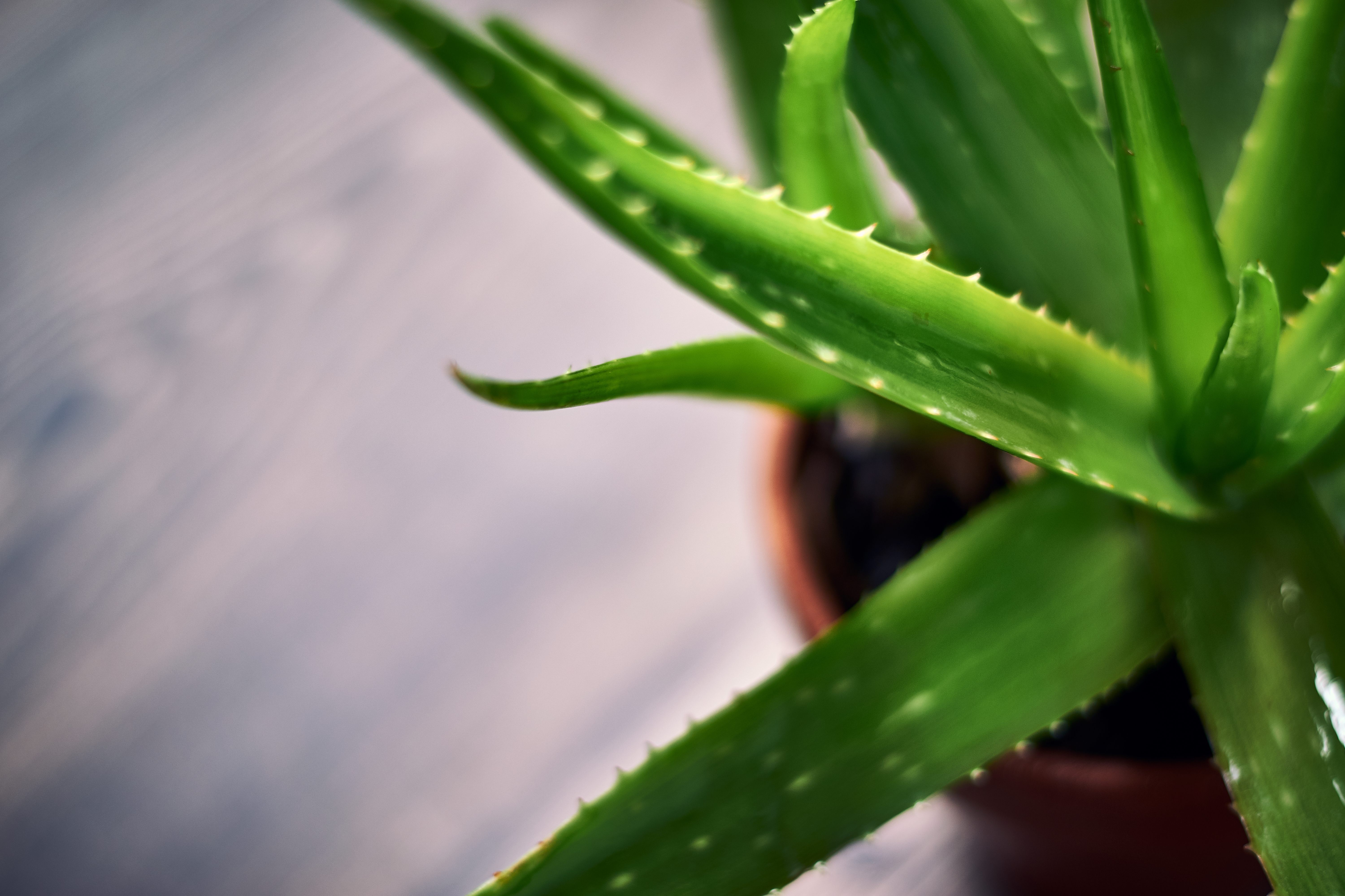 Sustainably packaged wellness products